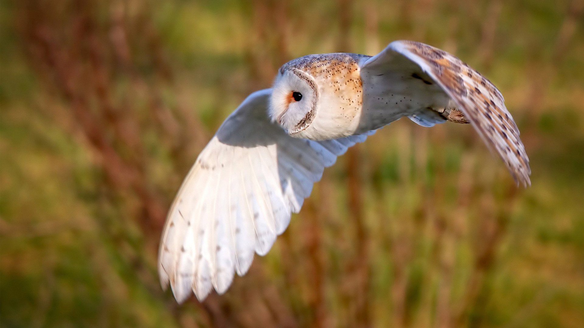 开云·Kaiyun网页版-_勇士开启三分狂潮，比赛节奏加快_，勇士三节120分