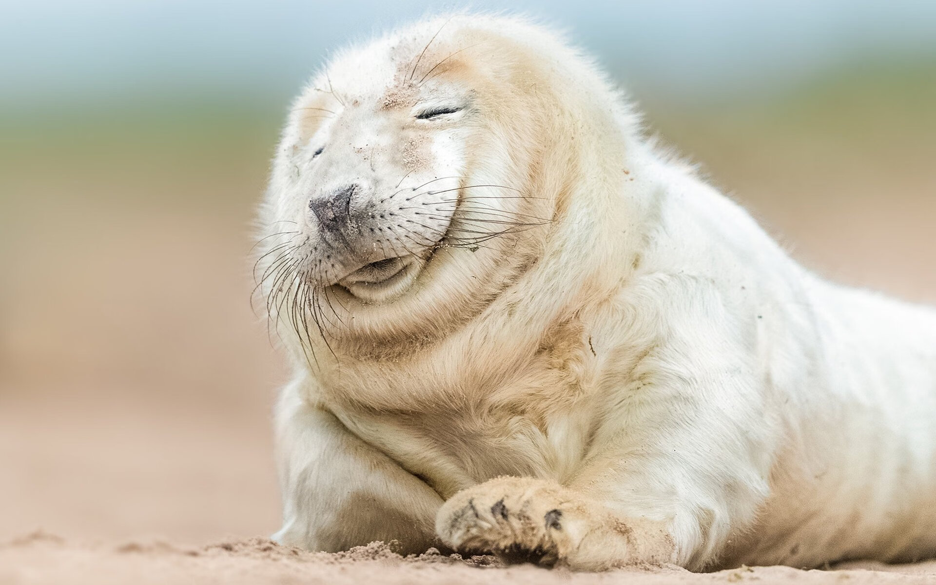 开云网页版登录入口-_掘金攻守兼备，联赛排名持续攀升_，掘金的比赛