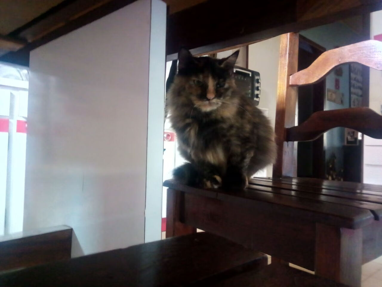 kaiyun官方网站-中国足协召开裁判制度改革研讨会,中国足协裁判员官网