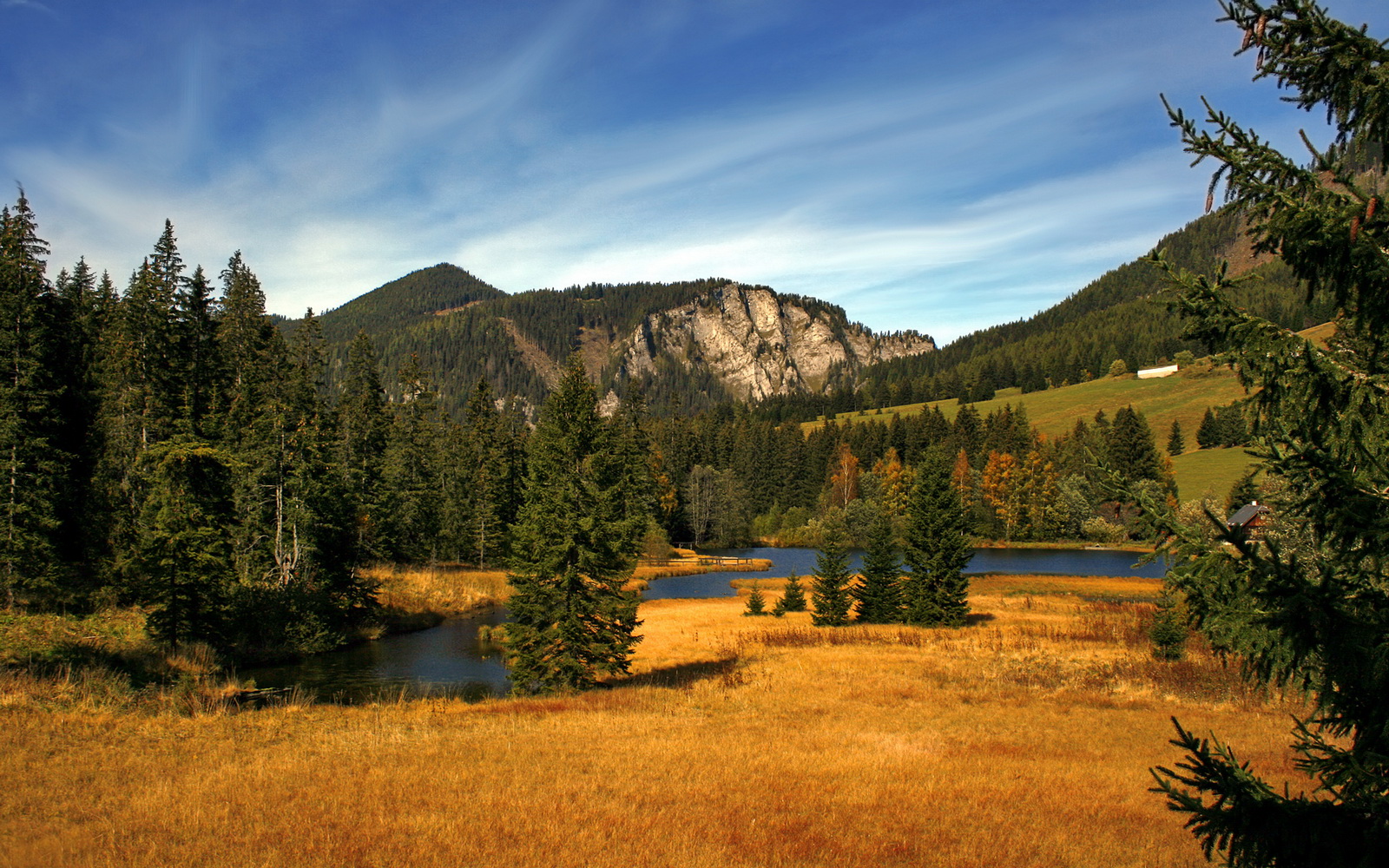 开云体育-全国青少年“绿色运动节”拉开帷幕,倡导环保与体育同发展,绿色运动会