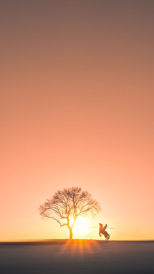 开云·体育官网-足球运动员职业生涯规划逐步完善,行业持续向好,足球运动员发展规划