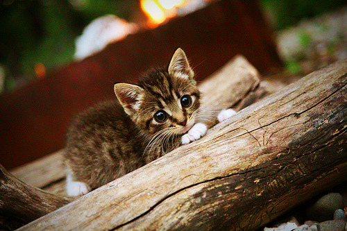 kaiyun中国官方网站-重装徒步探险，体验极限挑战的乐趣，重装 徒步