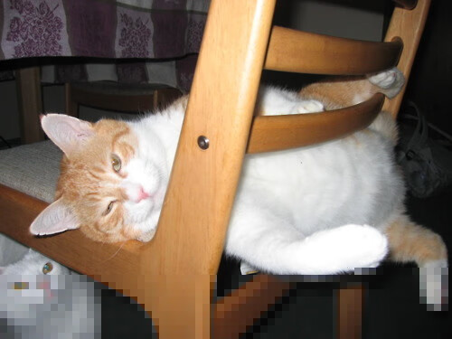 kaiyun开云·官方网站-中锋做墙能力是否为组织进攻首要条件，中锋需要具备什么能力