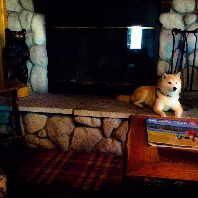 Kaiyun APP-伯恩茅斯扳平比分，赢得球迷掌声，伯恩茅斯转会消息