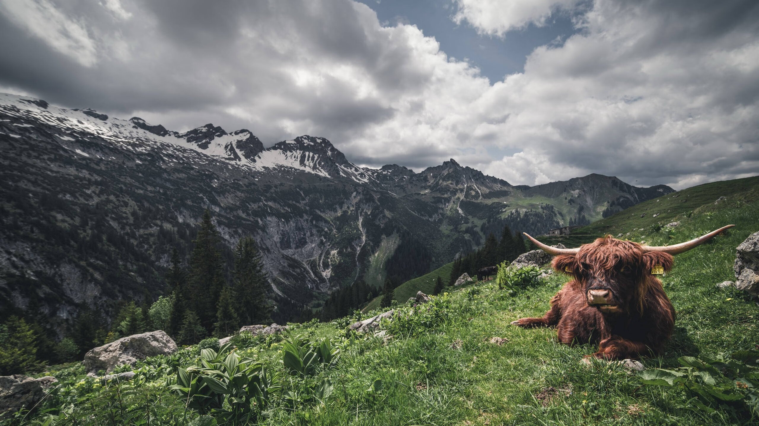 开云网站-凯尔特人主帅强调调整策略，备战下一场比赛，凯尔特人主将
