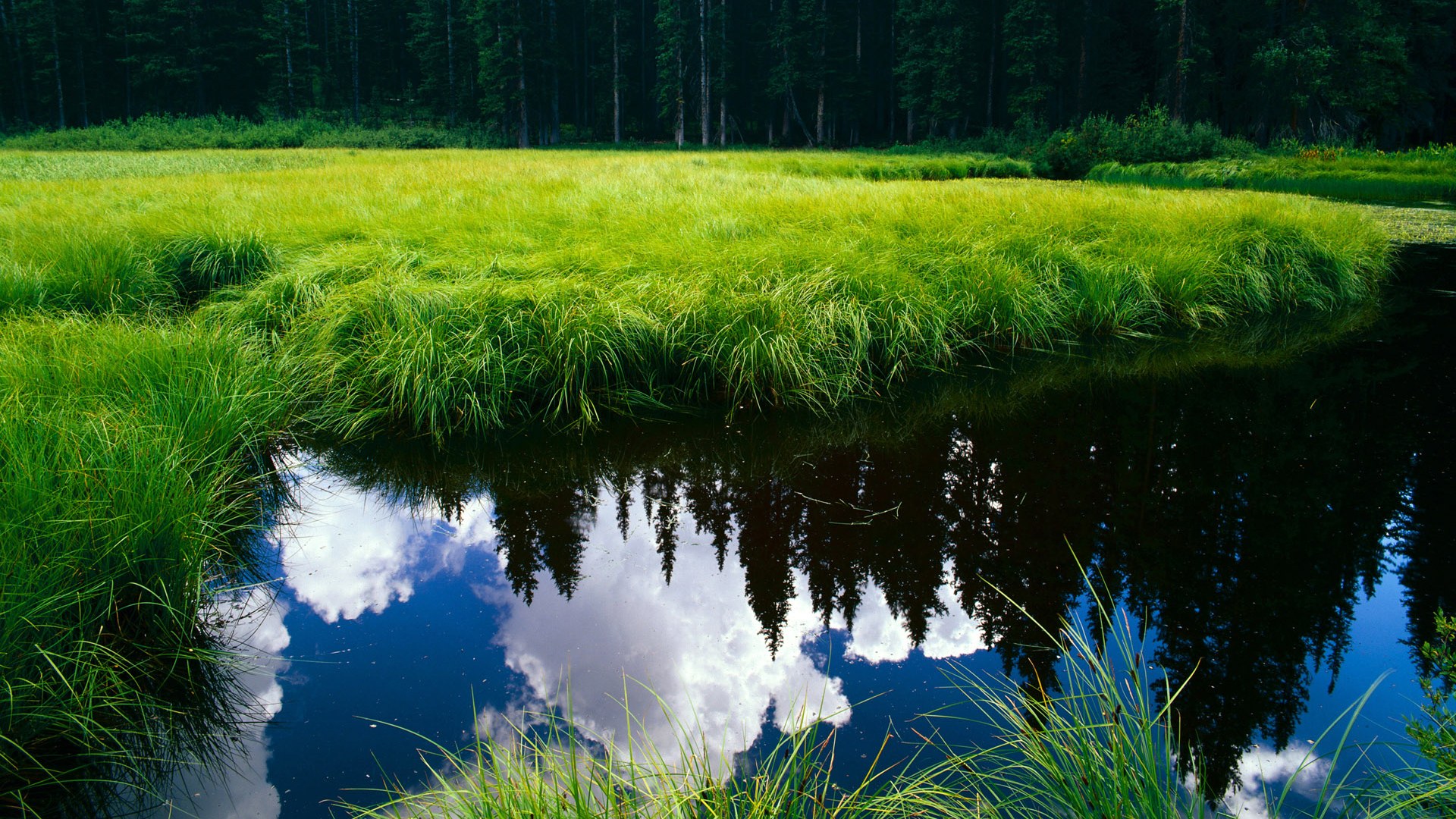开云平台-福建队球员在近期比赛中取得关键胜利，表现不俗，福建队最新比赛消息