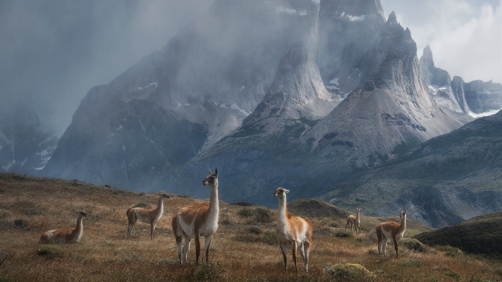 Kaiyun APP-美洲赛区新星迅速崛起，美洲赛场