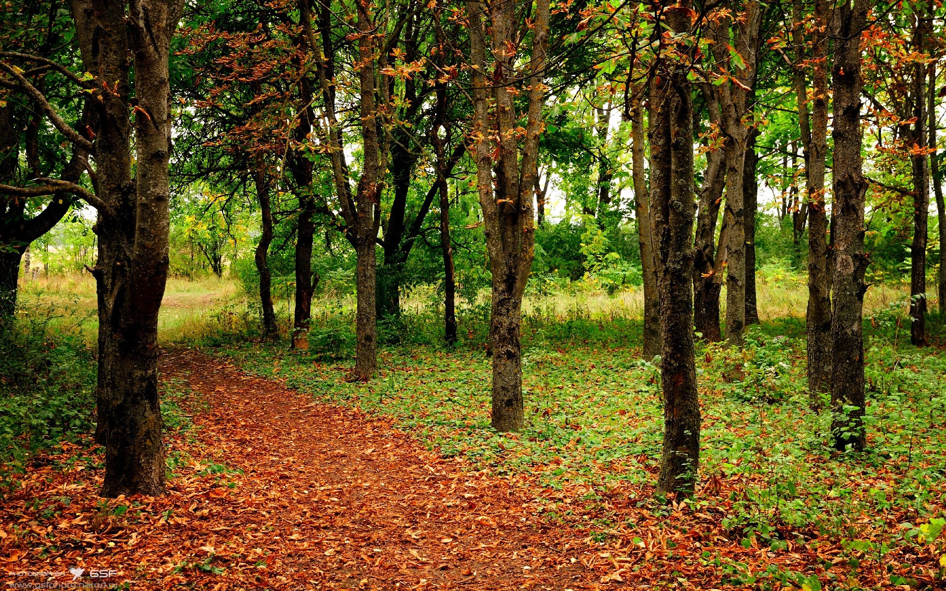 开云中国大陆-腾讯打造电竞赛事全链条服务体系，腾讯电竞比赛赛事