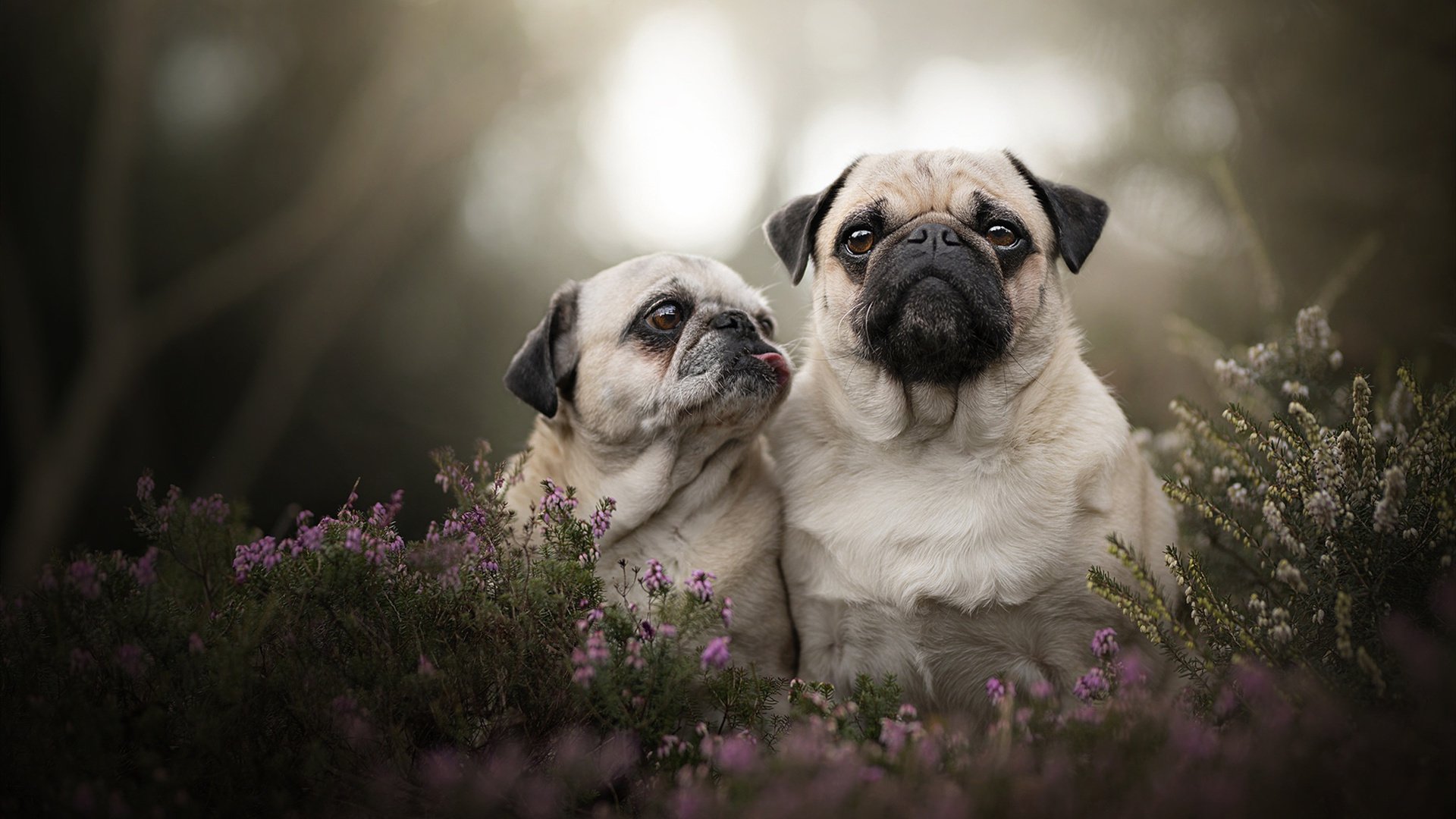 kaiyun官方入口登录-NBA联盟裁判心理素质培养体系,nba裁判水平