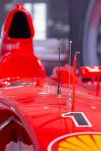 开云中国大陆-全国青少年旱地冰球锦标赛在哈尔滨精彩展开，旱地冰球比赛时间