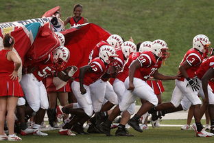 开云中国-青少年体育参与对抗挫能力的提升机制研究,“聚焦生命——论体育与青少年的挫折教育”