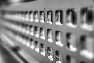 开云·Kaiyun网页版-青少年体质监测结果区域对比研究，青少年健康体质检测中心