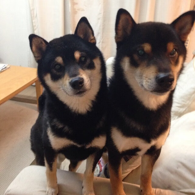 kaiyun中国官方网站-切尔西紧凑站位构建高密度防守线，切尔西的战术特点