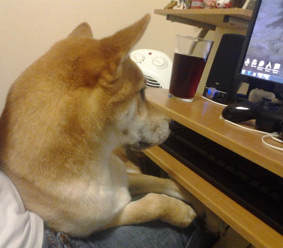 开云官网-运动科技助力基层训练实现精准突破,科技提高运动员成绩