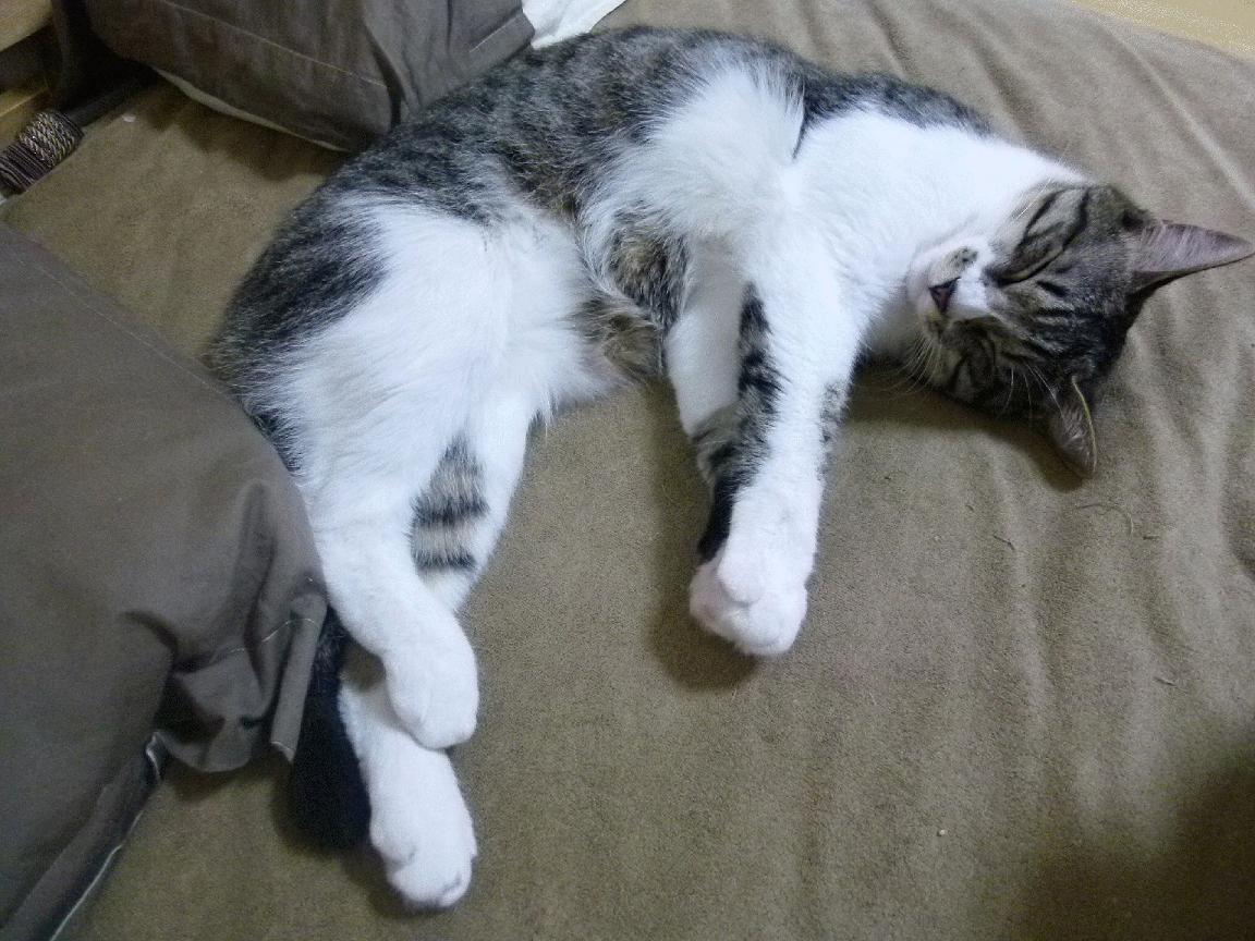 kaiyun体育综合-国足激战加时亚洲杯,国足征战亚洲杯